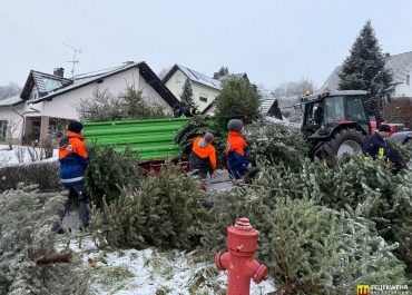 Weihnachtsbaum-Sammelaktion der Kinder- und Jugendfeuerwehr Eckartsborn